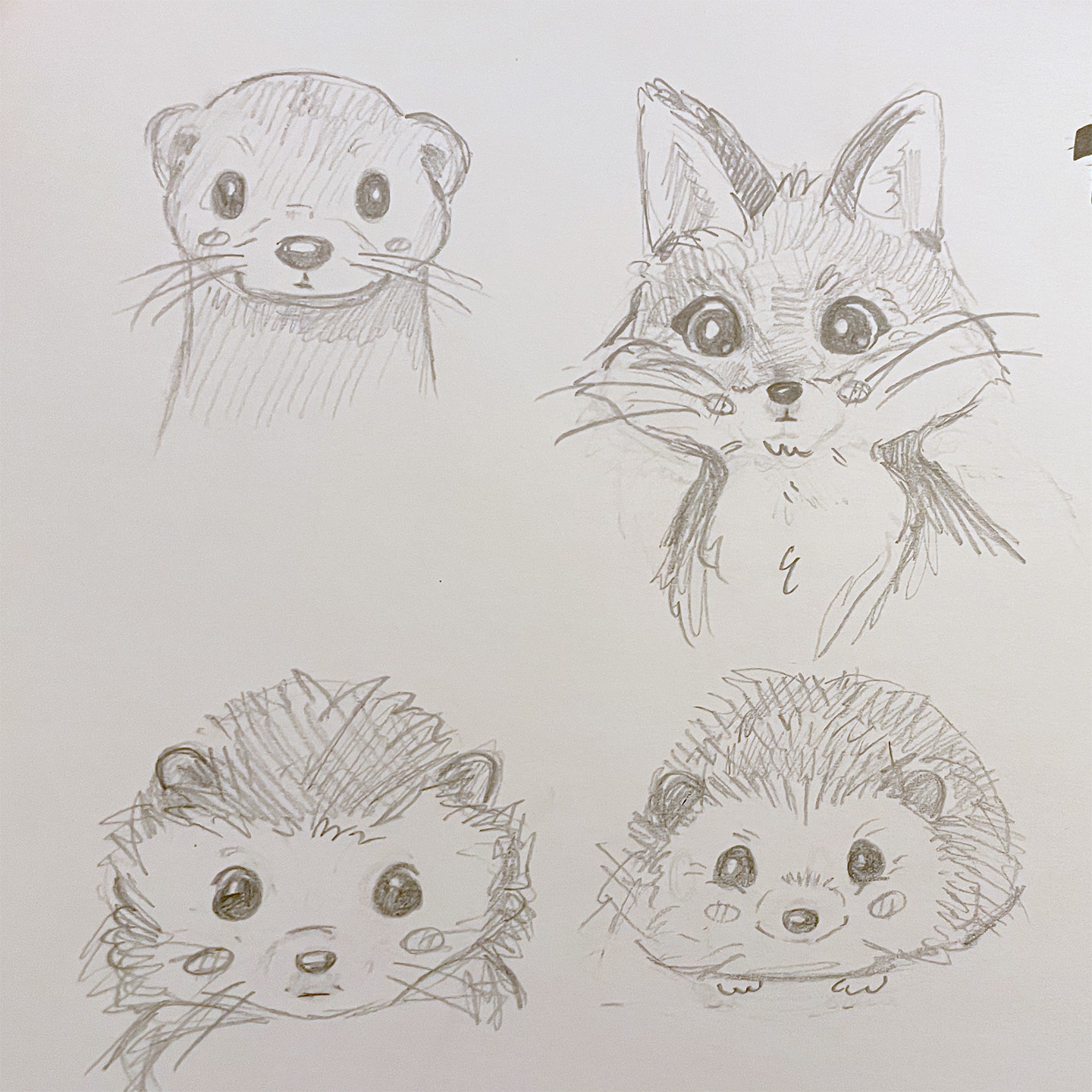 Pencil sketches of an otter, fox, and hedgehog